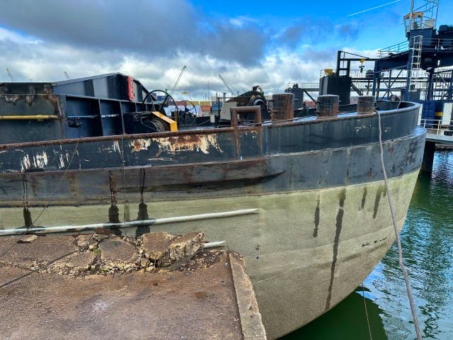 Walrus — thumbnail 2